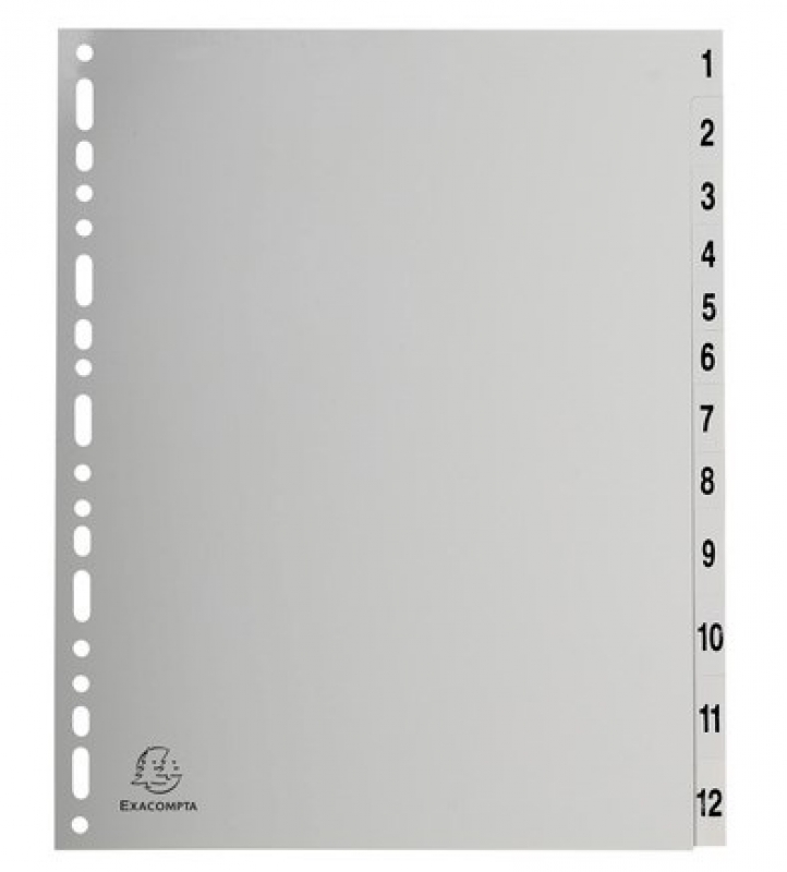 Разделитель на 12 делений А4+ 