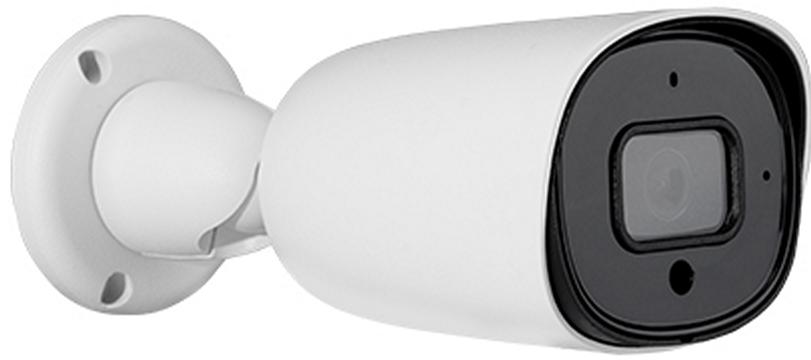 Камера видеонаблюдения Temid BS-852B31C-S2-MI-S