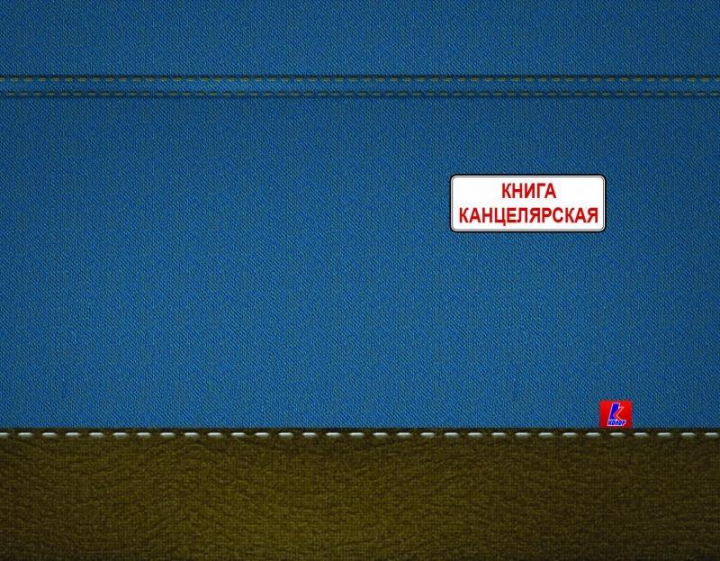 Книга канцеляр. А4 210*297 мм, 100 л., лин. 